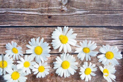 chamomile flowers on wooden background © Ольга Гусева