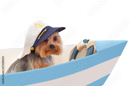The dog in the captain's cap sits in the boat. Isolated on white background.
