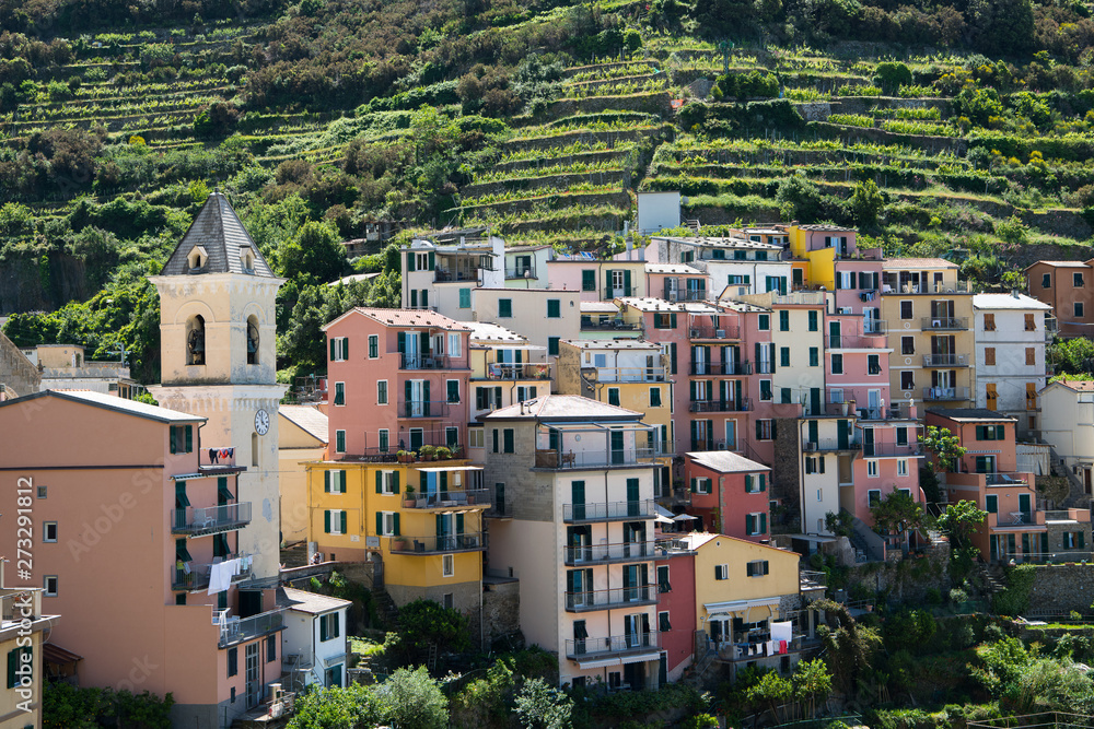Fototapeta premium Der Ort Manarola an der ligurischen Küste, zugehörig zu den Cinque Terre, welche zum Welt Kulturerbe gehören, Italiewn