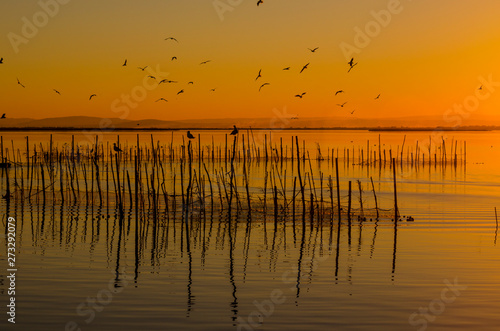  Parque natural de la Albufera en Valencia (España)