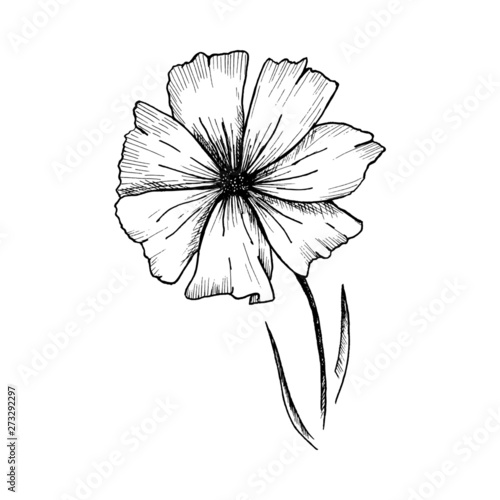 Flower sketch. Hand-drawn black flower isolated on transparent background. Black vector illustration