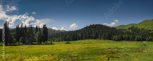 Alpine meadows of Avadhara Abkhazia Georgia travel nature mountains 