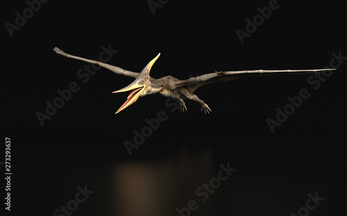 Pteranodon Longiceps Dinosaur flying black background isolated 3d render photo