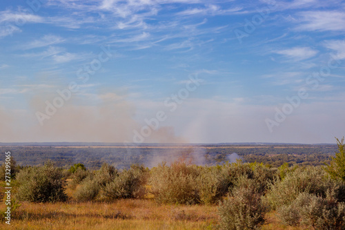 smoke from green trees due to a fire caused by heat