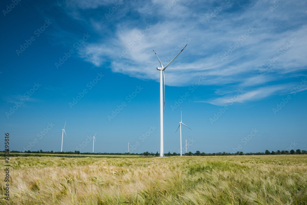 windmills for electric power production in the wheat fields against blue sky windmills for electric power production in the wheat fields against blue sky