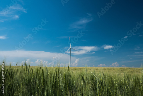 windmills for electric power production in the wheat fields against blue sky 