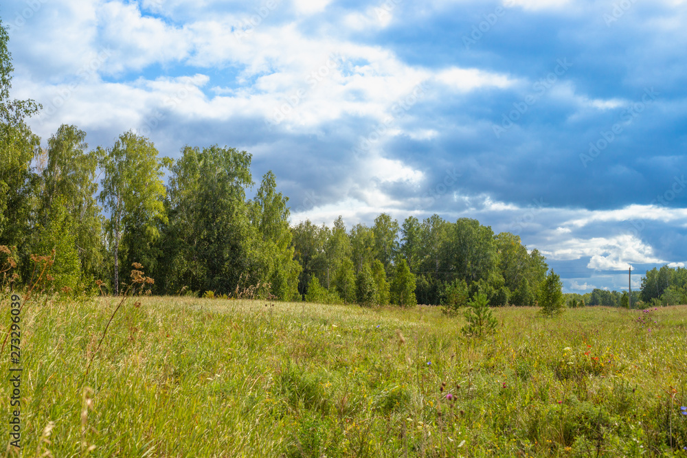 Russian nature landscape - green grass field, green forest and blue sky with clouds Russian nature landscape - green grass field, green forest and blue sky with clouds