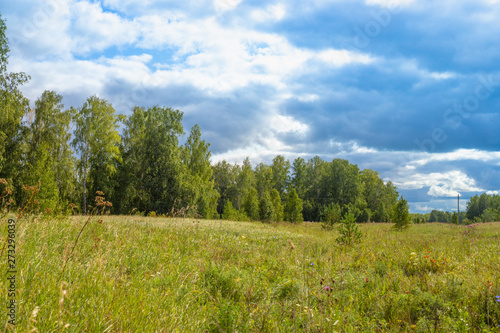 Russian nature landscape - green grass field, green forest and blue sky with clouds