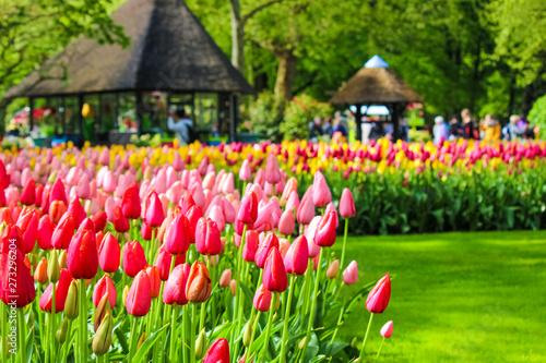 Detail of beautiful colorful tulips with blurred people walking through the park in background. Keukenhof park, Holland, Netherlands. Dutch concept. Amazing flowers