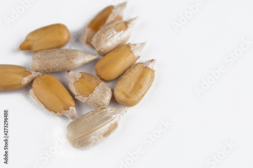 Peeled sunflower seeds isolated on white background.Copy space