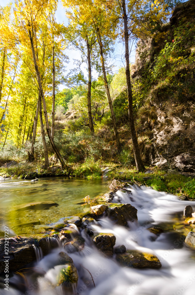 Rio Genil en su paso por Maitena, Guejar Sierra, Granada (España)