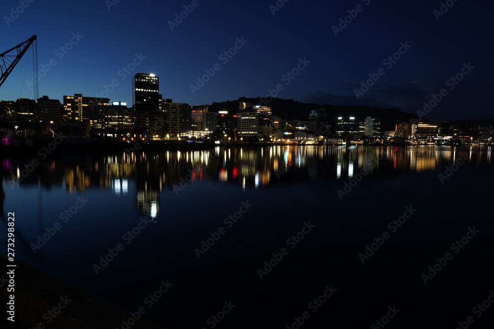 Obraz premium Wellington city at night with light reflection
