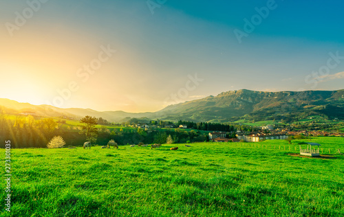 Herd of cow grazing at grass field with beautiful blue sky and morning sunlight. Cow farming ranch. Animal pasture. Landscape of green grass field and mountain near village. Grassland in spring.