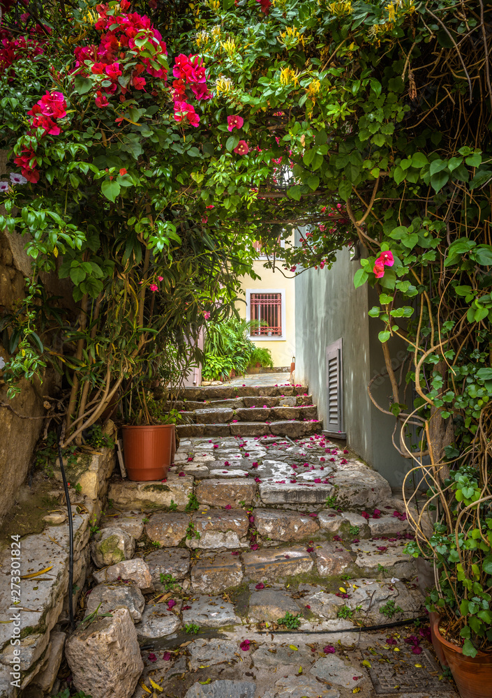 Fototapeta premium Old narrow street with flowers in Plaka district, Athens, Greece