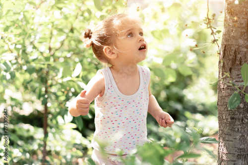 Little Caucasian girl, two years old, gathering unripe cherries in orchard