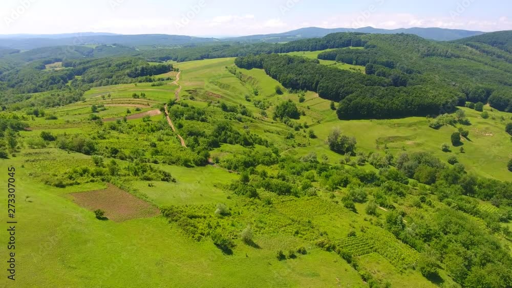Aerial view of hill, summer time season , green of grass background and forest Aerial view of hill, summer time season , green of grass background and forest