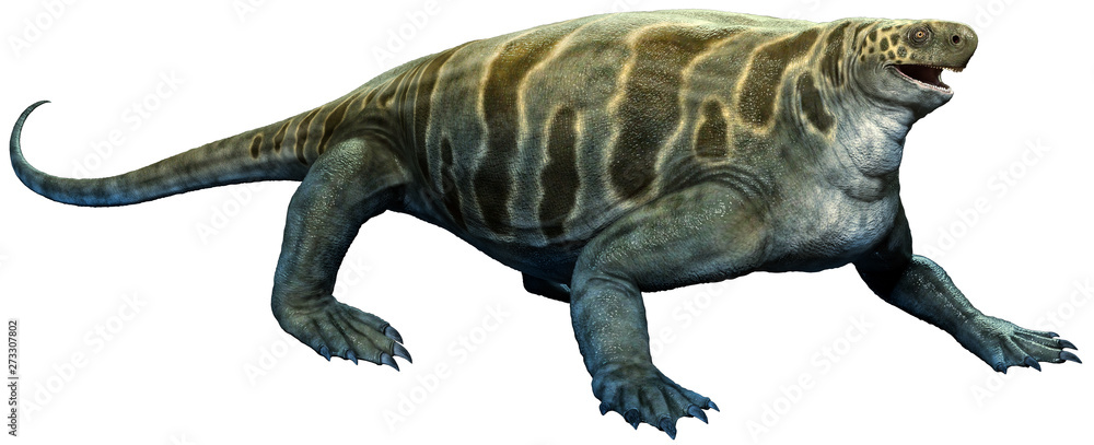 Cotylorhynchus from the Permian era 3D illustration Cotylorhynchus from the Permian era 3D illustration