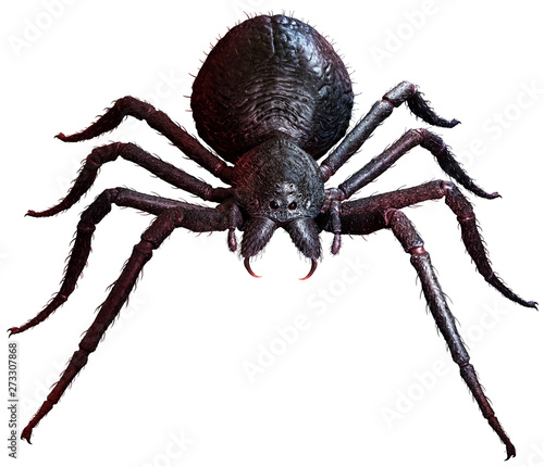 Giant Spider top view 3D illustration