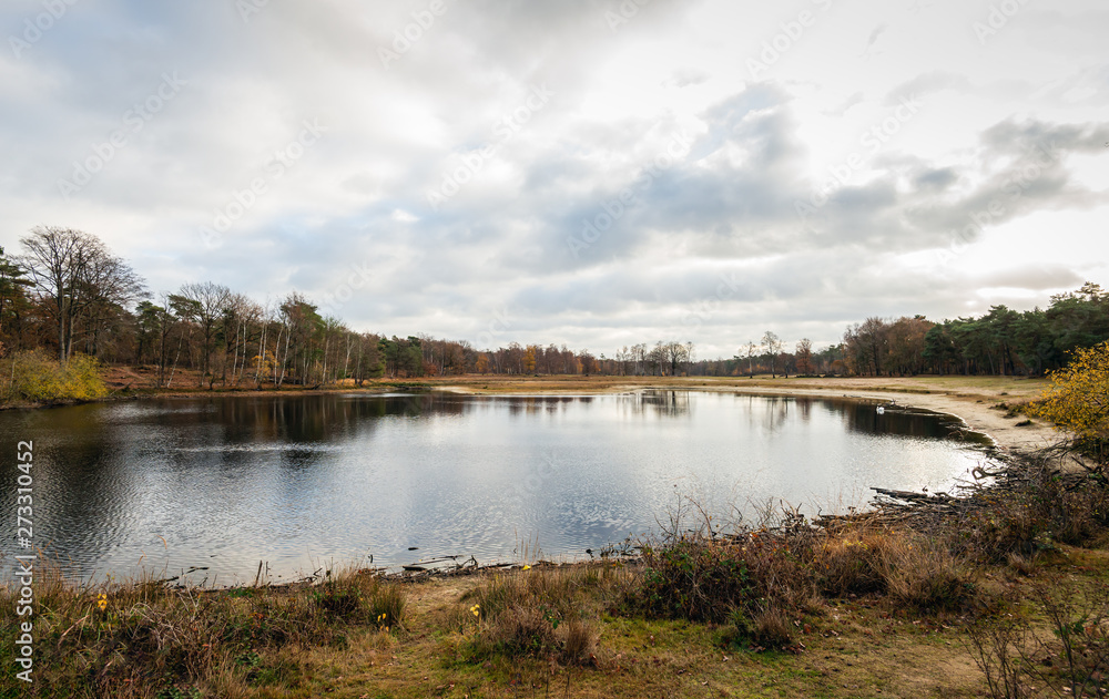 Lake after a prolonged drought in the summer period Lake after a prolonged drought in the summer period