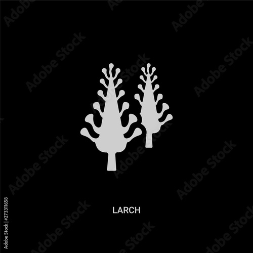 white larch vector icon on black background. modern flat larch from nature concept vector sign symbol can be use for web, mobile and logo.
