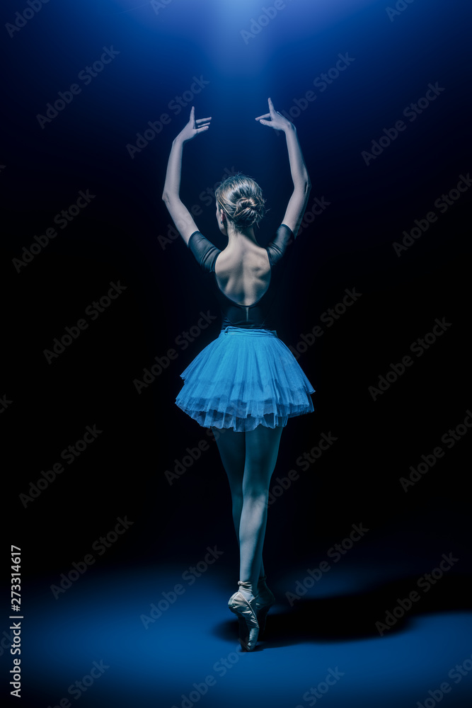 Fototapeta premium back of ballet dancer