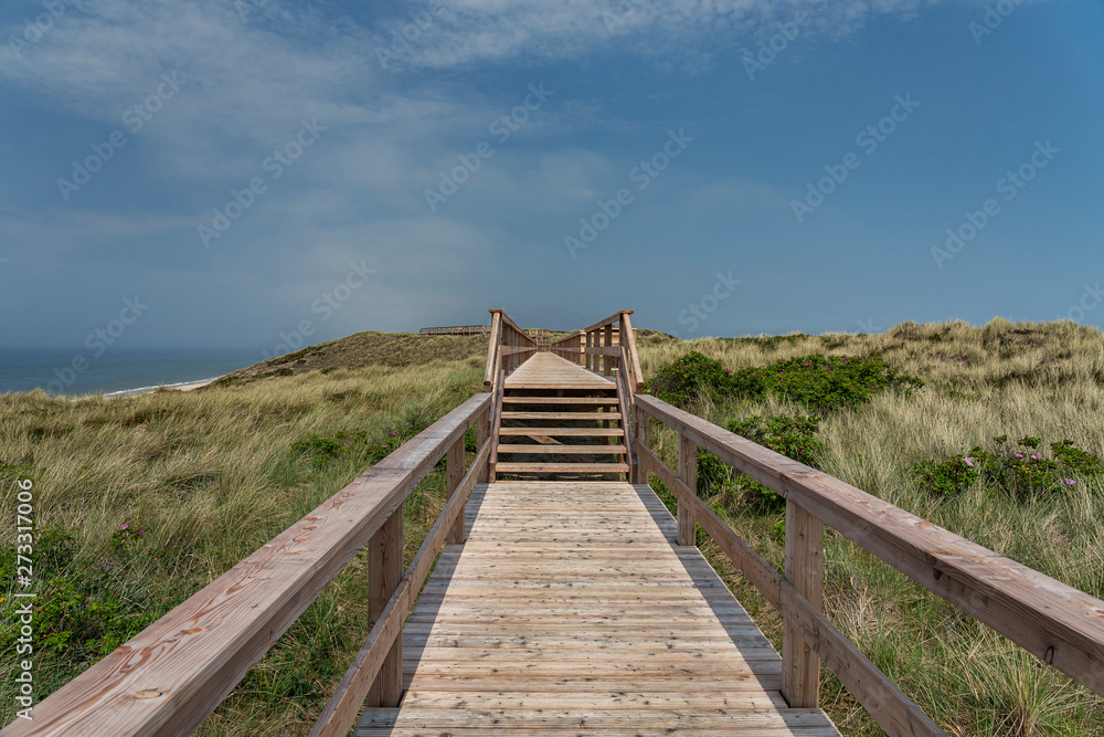 Sylt - View to boardwalk  and Grass Dunes at Beach at Wenningstedt / Germany