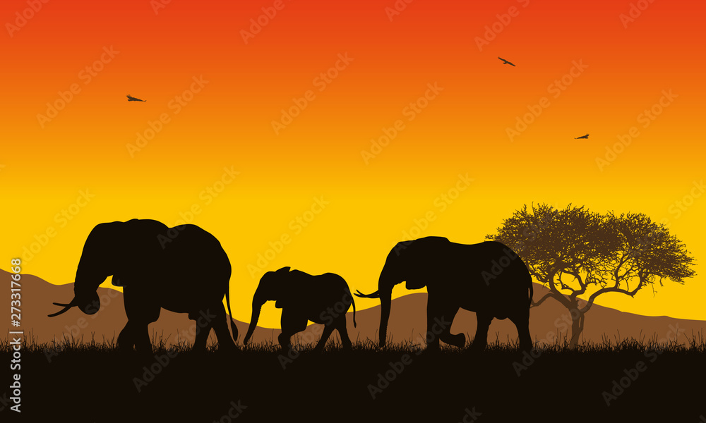 Realistic illustration of African landscape with safari, trees and family of elephants under orange sky with rising sun. Mountains with flying birds in background, vector