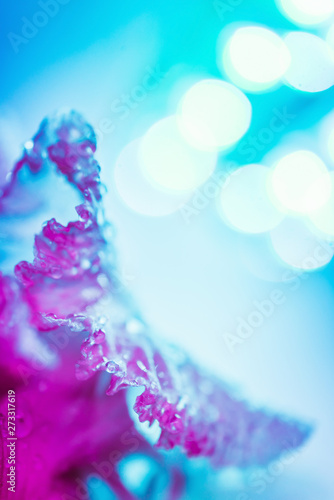 Vivid neon colored iris flower bud on multi colored background.