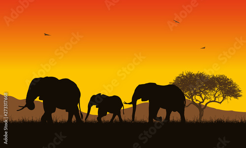 Realistic illustration of African landscape with safari, trees and family of elephants under orange sky with rising sun. Mountains with flying birds in background, vector © Forgem