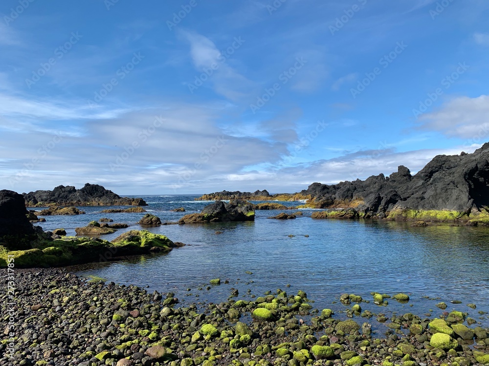 Fototapeta premium Coast on São Miguel island, Azores, Portugal near Ponta De Mosteiros