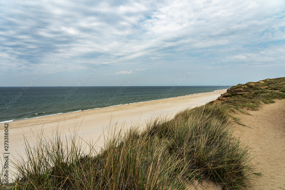Sylt - Panorama-View to Grass-Dunes with View to North Sea at Kampen Cliff / Germany Sylt - Panorama-View to Grass-Dunes with View to North Sea at Kampen Cliff / Germany