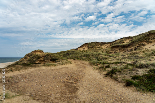 Sylt - Panorama-View to Grass-Dunes with View to North Sea at Kampen Cliff / Germany
