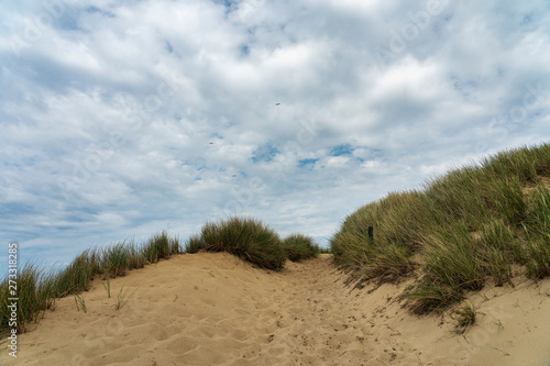 Sylt - View to Grass- and Sand-Dunes at Kampen Cliff / Germany