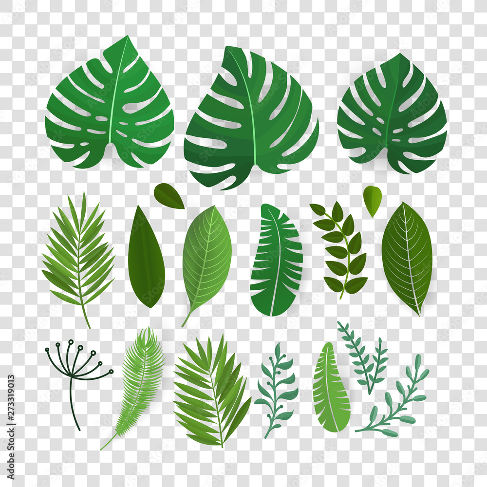 Summer season exotic leaves vector collection isolated on transparent - obrazy, fototapety, plakaty 