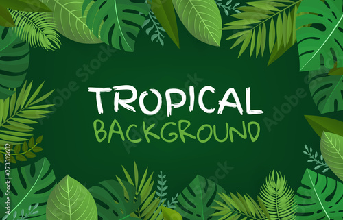 Tropical background. Composition with green tropical leaves