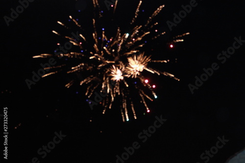 Wallpaper Mural salute Torontodigital.ca