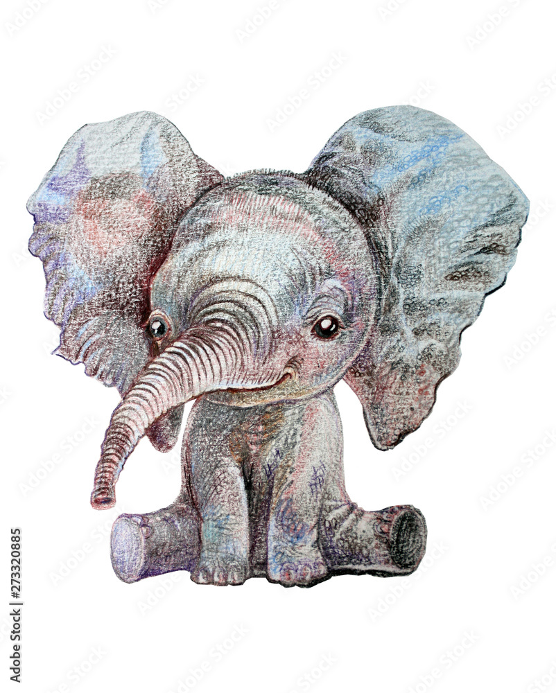 Obraz premium Baby Elephant