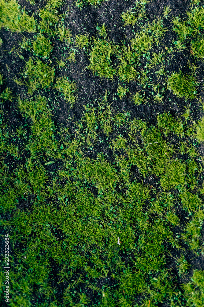 image to crop