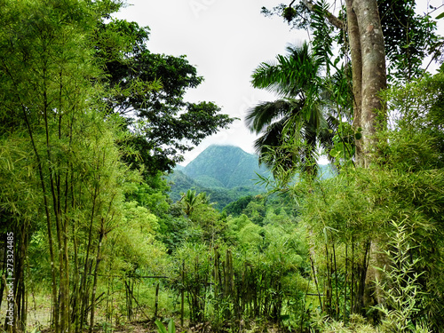 mont pelé
