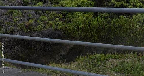 volcanic steam vent in Hawaii's volcano national park. handrail keeps sightseers from falling into the scorching pit. photo