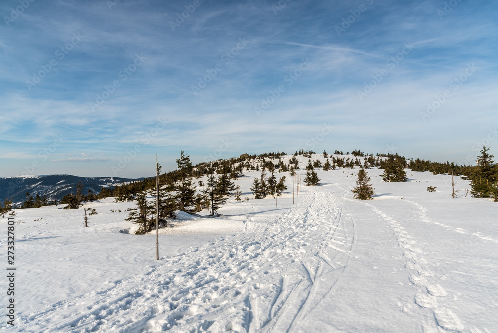 winter Jeseniky mountains scenery from hiking trail bellow Pecny hill in Czech republic