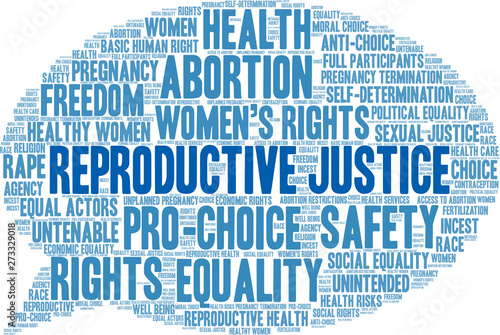 Reproductive Justice Word Cloud on a white background. 