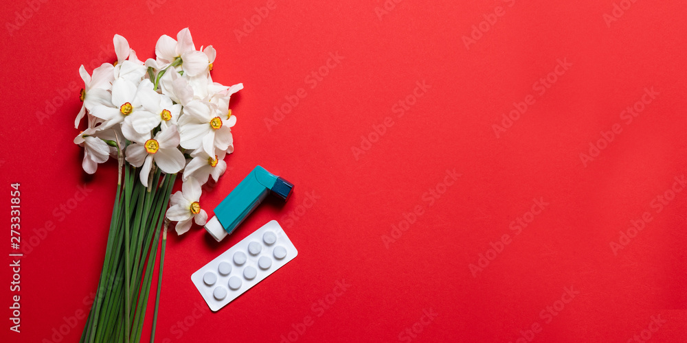 White Narcissus with a Blue Asthma Inhaler Pharmaceutical drug to prevent an asthma attack. Copy space Flat lay