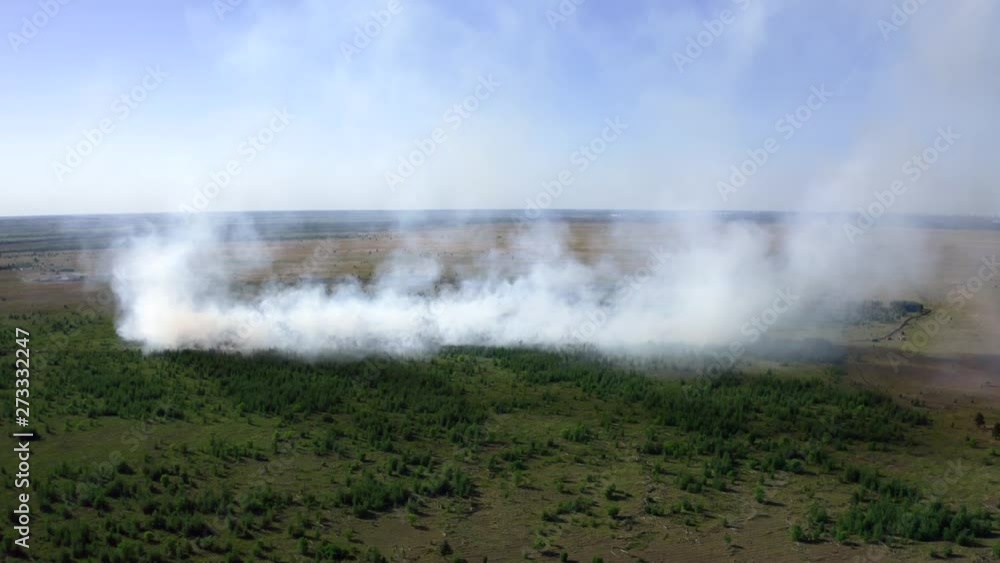 Aerial view of wildfire in green fields from hot weather, natural disaster accident, burning forest and huge clouds of smoke, drone footage Aerial view of wildfire in green fields from hot weather, natural disaster accident, burning forest and huge clouds of smoke, drone footage