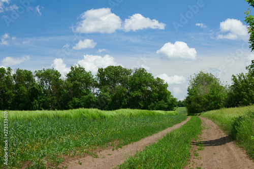 Beautiful spring landscape - Ground road in the wheaten field and cloudy sky