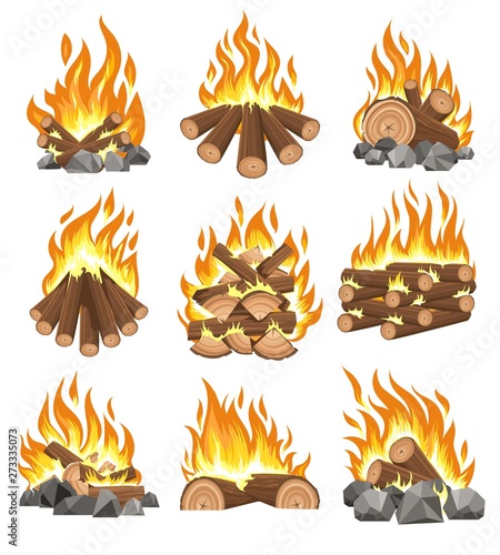 Bonfire firewood set