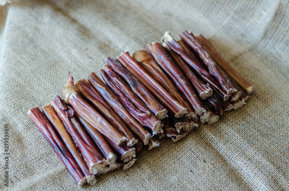 Dried bull penis. Bull pizzle cut into pieces. Natural dried treats for dogs. Bully steaks on coarse cloth. Selective focus. foto de Stock Adobe Stock