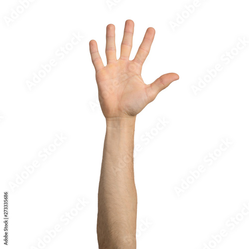 Adult man hand showing open palm gesture