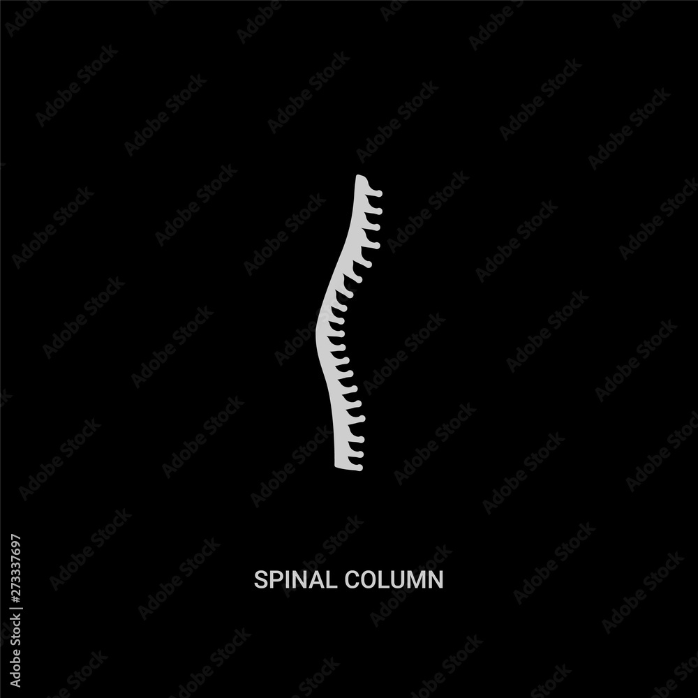 white spinal column vector icon on black background. modern flat spinal column from medical concept vector sign symbol can be use for web, mobile and logo. white spinal column vector icon on black background. modern flat spinal column from medical concept vector sign symbol can be use for web, mobile and logo.