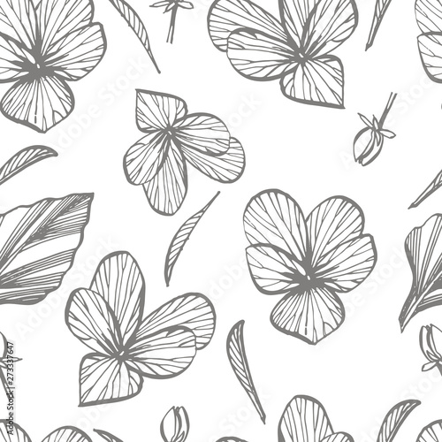 Pansy or daisy flower. Botanical illustration. Good for cosmetics, medicine, treating, aromatherapy, nursing, package design, field bouquet. Seamless pattern.